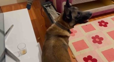 Narkotik köpeği elektrik sobadaki uyuşturucu böyle buldu
