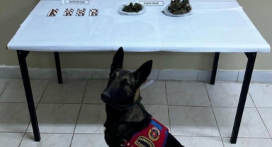 Narkotik köpeği ile arama yapılan araçta uyuşturucu ele geçirildi