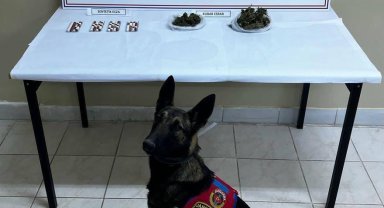 Narkotik köpeği ile arama yapılan araçta uyuşturucu ele geçirildi