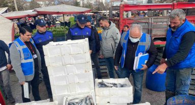 Sincan'da zabıta ekipleri balık denetiminde