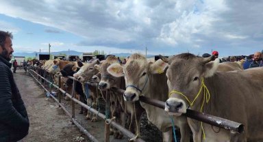 Uzmanı uyardı, o hastalık ağızda oluşan lezyonlarla kendini gösteriyor