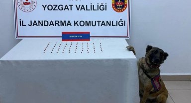 Yozgat'ta 61 adet uyuşturucu hap ele geçirildi