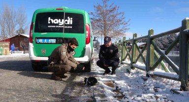 Yozgat'ta polis ekipleri sokak hayvanlarını unutmadı