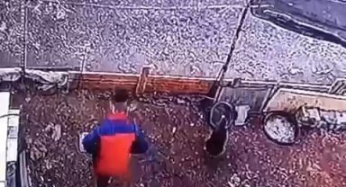 Yumurta hırsızının rahatlığı 'pes' dedirtti