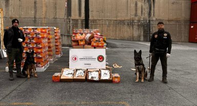 Ambarlı Limanı'nda zehir tacirlerine yönelik operasyon: 36 milyon liralık uyuşturucu ele geçirildi