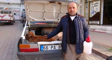 Arabasının bagajında veterinere götürdüğü buzağısının tedavisi bitene kadar başından ayrılmadı