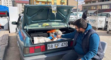 Bagajda tedavi gören buzağı yüzleri gülümsetti