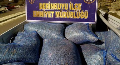 Bir garip hırsızlık: Çekirdek hırsızı ekiplerden kaçamadı