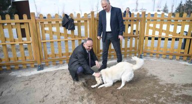 Büyükşehir'in köpek eğitim parkuru Mİllet Bahçesi'nde hizmete hazır