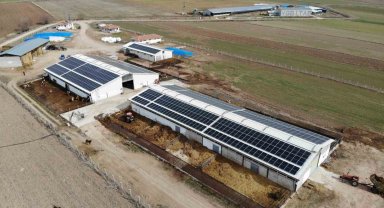 Devlet desteğiyle kurduğu büyükbaş hayvan çiftliğinin elektrik giderlerini GES ile karşılıyor