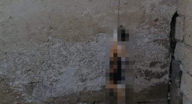 Kedi asılarak öldürüldü