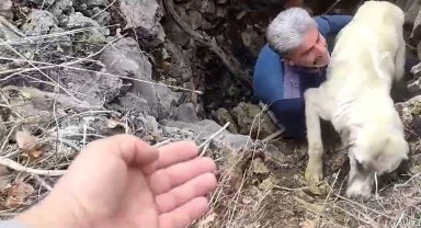 Kuyuya düşen köpeğe vatandaştan yardım eli