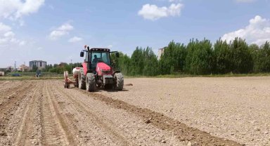 Niğde Patates Araştırma Enstitüsü'ne işçi alınacak
