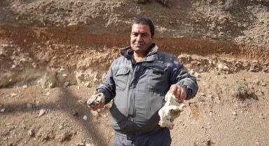 Niğde'de dinozor fosili iddiası