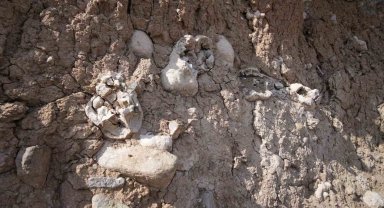 Niğde'deki dinozor fosili sanılan oluşumlar traverten taşı çıktı