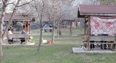 Şubat ortasında ilkbahar gibi piknik keyfi yaptılar