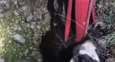 15 metrelik kuyuya düşen inek, 3 saatte kurtarıldı