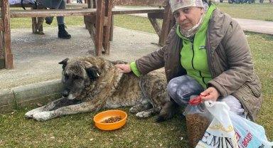 22 yıldır sokak hayvanlarını besliyor