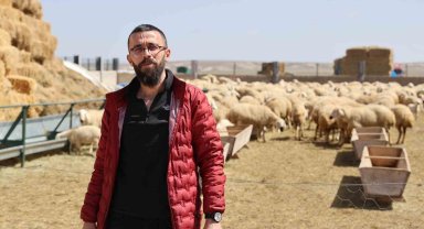 42 bin lira maaş, sigorta, dayalı döşeli ev ve karavana rağmen çoban bulunamıyor