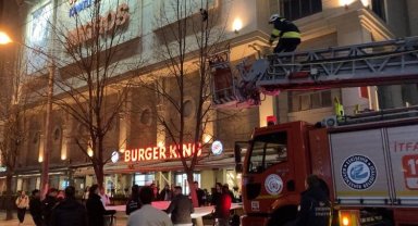 Ağaçta mahsur kalan kediyi itfaiye kurtardı
