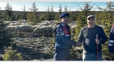 Çiftçinin kaybolan koyun sürüsünü jandarma ormanda buldu