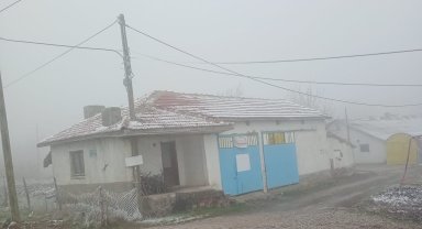 Eskişehir'de sis ve don olayı etkili oldu