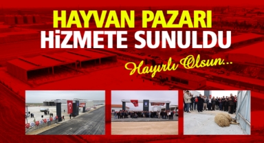 HAYVAN PAZARI HİZMETE SUNULDU