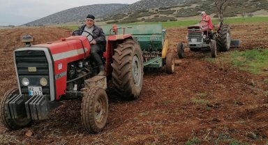 Hüyük'te atıl tarım alanları aspir ekilerek üretime kazandırılıyor