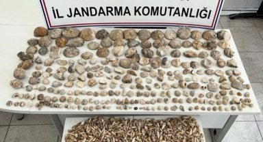 Karaman'da bin 780 adet bitki ve hayvan fosili ele geçirildi