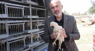 Karaman'da kendi yumurtalarını üretmeleri için köylülere tavuk ve horoz dağıtıldı