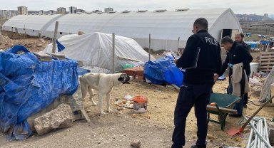 Köpeğin ısırdığı çocuk ağır yaralandı