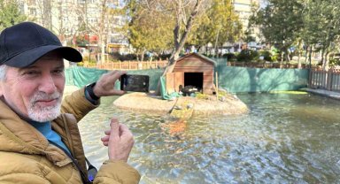 Kuğulu Park'ın yeni dünyaya gelen yavru siyah kuğularına yoğun ilgi