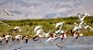 Kuş cenneti havadan görüntülendi, kendine hayran bıraktı