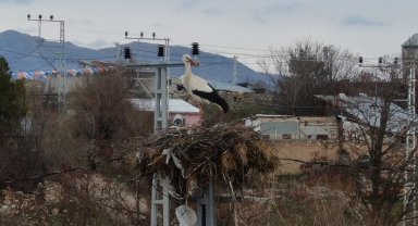 Mesken tuttukları köye bu yıl da geldiler