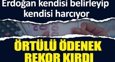 Örtülü ödenekten 2 ayda 1000 ev parası harcandı!
