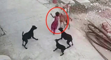 Saadet Partisi Karaman Belediye Başkanı adayı Mehmet Karakaş sokak köpeklerini toplayacaklarını açıkladı.