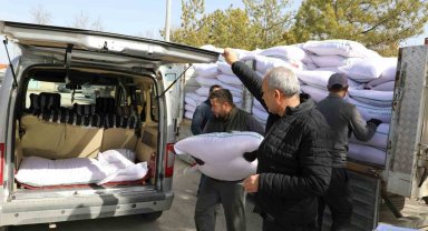Seyitgazi bu sene yerli Azkan nohut tohumu ekecek