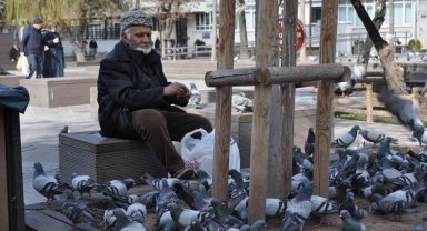 Sokaktaki kuşları yıllardır büyük bir özenle besliyor