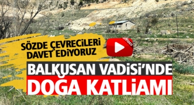 Balkusan Vadisi'nde Doğa Katliamı: Halkın Endişesi Büyüyor