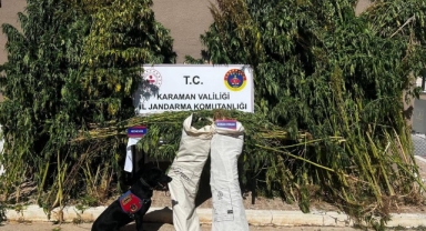 Karaman'da Jandarmadan Uyuşturucu Operasyonu