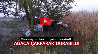 AĞACA ÇARPARAK DURABİLDİ