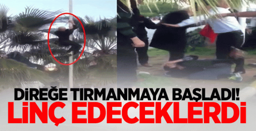 Direğe tırmanmaya başladı, linç edeceklerdi