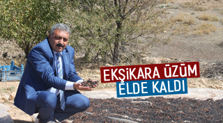 EŞKİKARA ÜZÜM ELDE KALDI