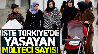 İşte Türkiye'de yaşayan mülteci sayısı