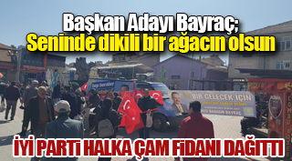 İYİ PARTİ HALKA ÇAM FİDANI DAĞITTI