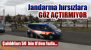 JANDARMA'DAN HIRSIZ AVI