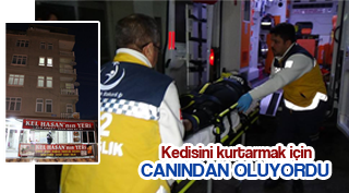 KEDİSİ İÇİN CANINDAN OLUYORDU