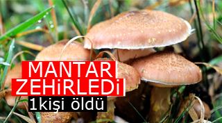 MANTAR ZEHİRLEDİ