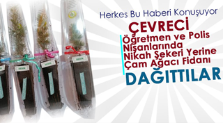 Nikah Şekeri Yerine Çam Fidanı Dağıttılar