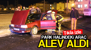 PARK HALİNDE ALEV ALDI